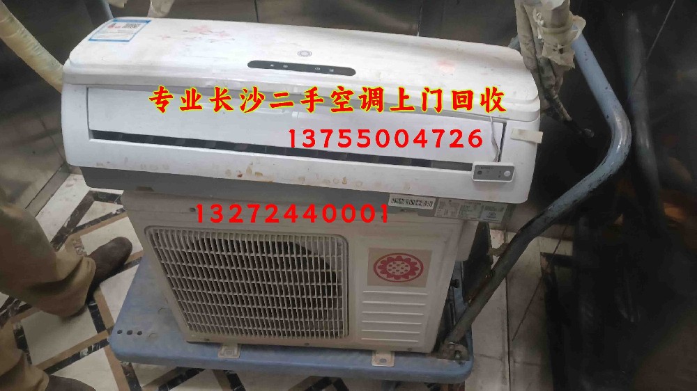 1699616667489041.jpg